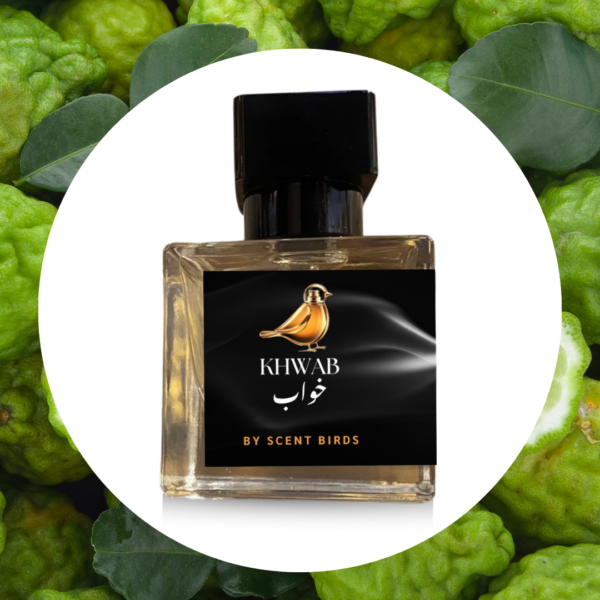 Khwab by Scent Birds – The Essence of Bold Sophistication